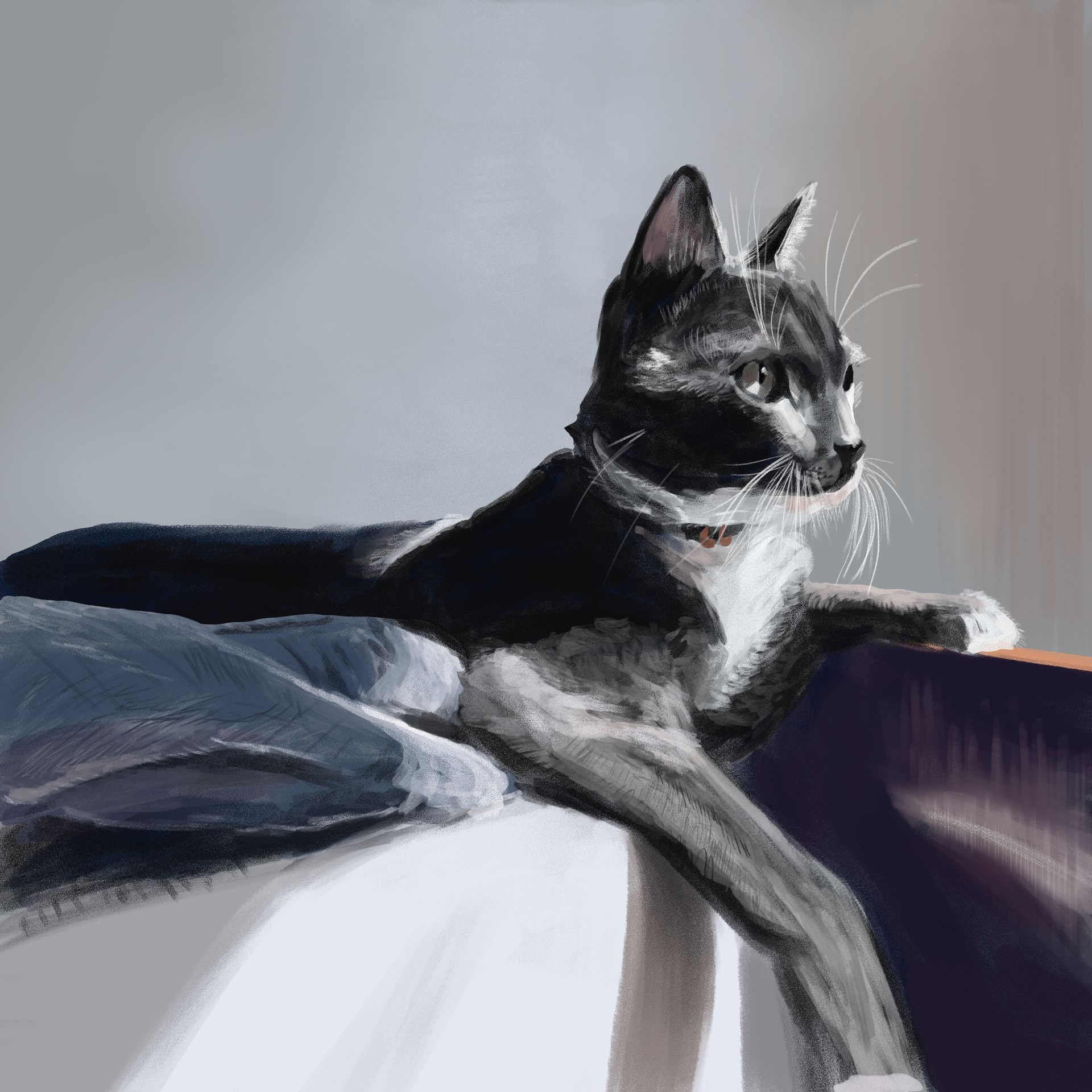 Chicó's study, Carla‘s cat