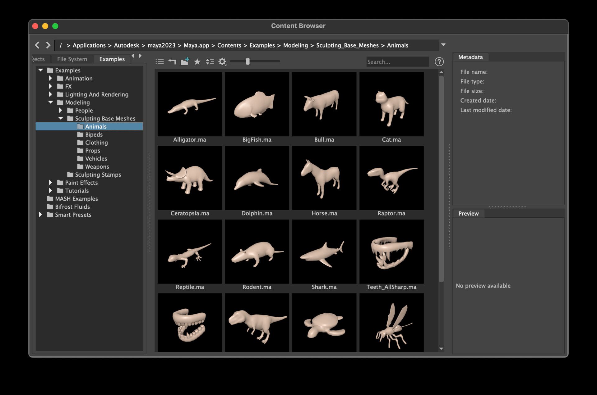 Autodesk Maya Content Browser Window, showing a bunch of 3D animal models ready to use